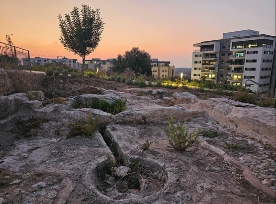 תמונת מופע: החוויה המודיעינית&colon; סודות העיר מודיעין מקייזר לגבעת אשון