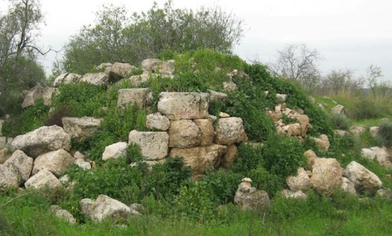 תמונת מופע: החוויה המודיעינית&colon; חורבת חרובה